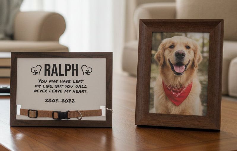 pet Memorial collar display