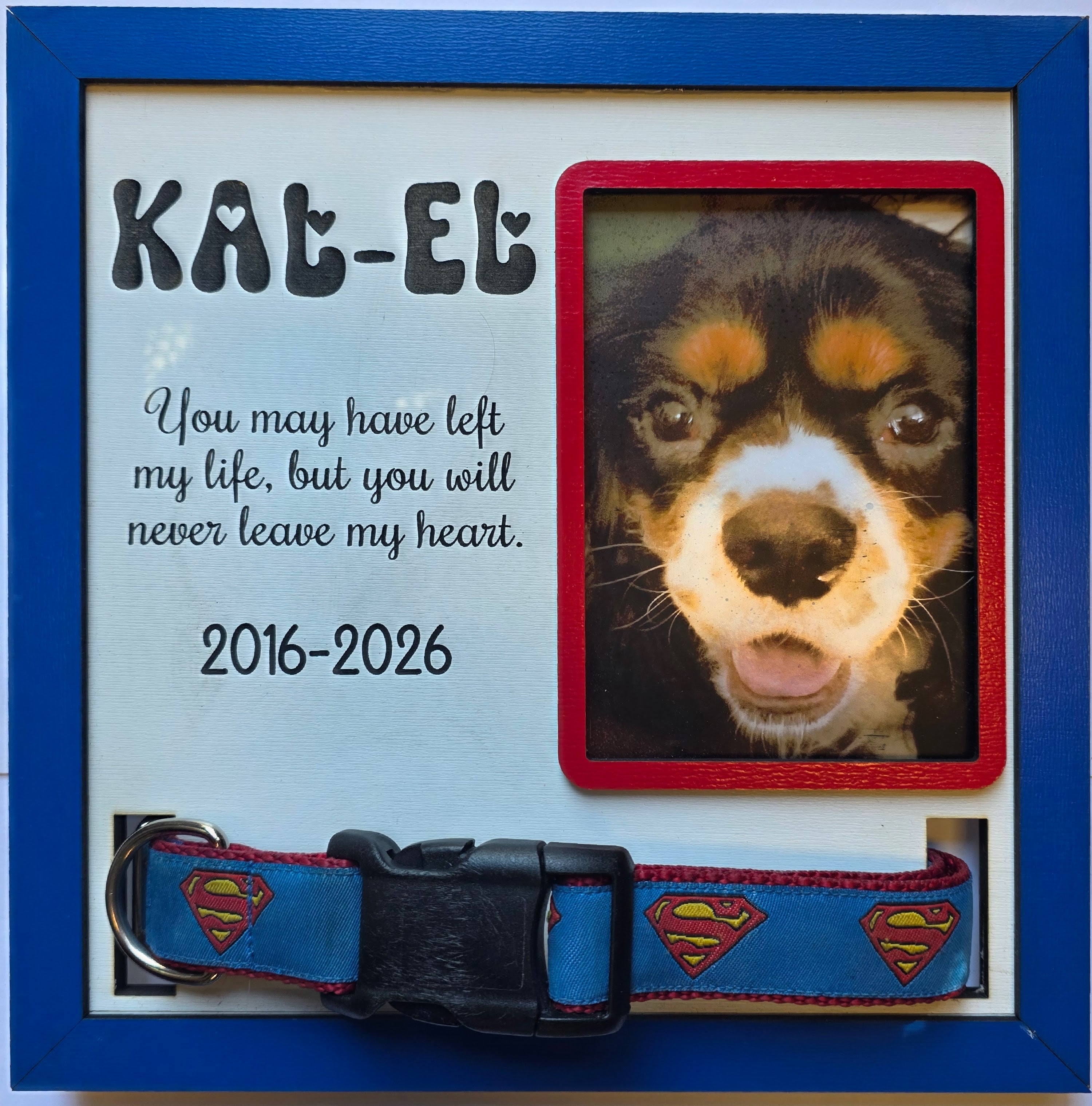 Pet Memorial Collar Display