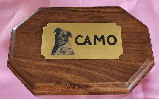 "2x4 personalized brass name plate with laser-engraved pet name and photo for pet urn or memorial display"