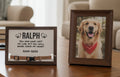 pet Memorial collar display